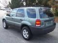 2007 Titanium Green Metallic Ford Escape XLT  photo #5