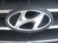 Powder White Pearl - Sonata GLS Photo No. 24
