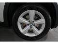 Titanium Silver Metallic - X5 3.0si Photo No. 19