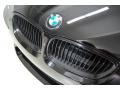 2009 BMW M3 Coupe Badge and Logo Photo