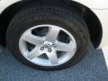 Bright Silver Metallic - Charger SXT Photo No. 11