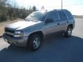 Graystone Metallic - TrailBlazer LS Photo No. 1