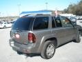 Graystone Metallic - TrailBlazer LS Photo No. 5