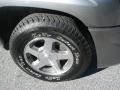 Graystone Metallic - TrailBlazer LS Photo No. 9