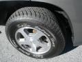 Graystone Metallic - TrailBlazer LS Photo No. 10