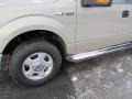 2010 Pueblo Gold Metallic Ford F150 XLT SuperCrew 4x4  photo #3