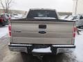 2010 Pueblo Gold Metallic Ford F150 XLT SuperCrew 4x4  photo #5