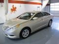 Camel Pearl - Sonata GLS Photo No. 1