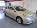 Camel Pearl - Sonata GLS Photo No. 5