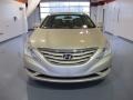 Camel Pearl - Sonata GLS Photo No. 6
