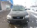 2007 Tungsten Grey Metallic Ford Escape XLT V6 4WD  photo #6