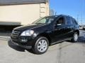 Black - ML 350 4Matic Photo No. 3