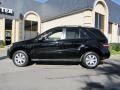Black - ML 350 4Matic Photo No. 4