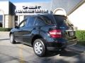 Black - ML 350 4Matic Photo No. 5