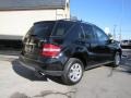 Black - ML 350 4Matic Photo No. 6
