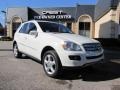 Arctic White - ML 350 4Matic Photo No. 1