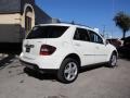 Arctic White - ML 350 4Matic Photo No. 6