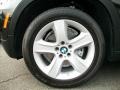 2010 BMW X5 xDrive30i Wheel and Tire Photo