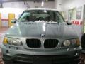 2003 Grey Green Metallic BMW X5 3.0i  photo #17