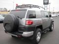 Silver Fresco Metallic 2010 Toyota FJ Cruiser 4WD Exterior