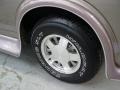 Light Autumnwood Metallic - Express 1500 Passenger Van Conversion Photo No. 12