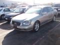 Titanium Silver - Q 45 Photo No. 1