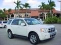 2010 White Suede Ford Escape Limited V6  photo #1