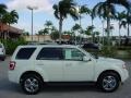 2010 White Suede Ford Escape Limited V6  photo #5