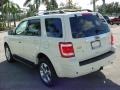 2010 White Suede Ford Escape Limited V6  photo #9
