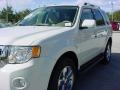 2010 White Suede Ford Escape Limited V6  photo #13