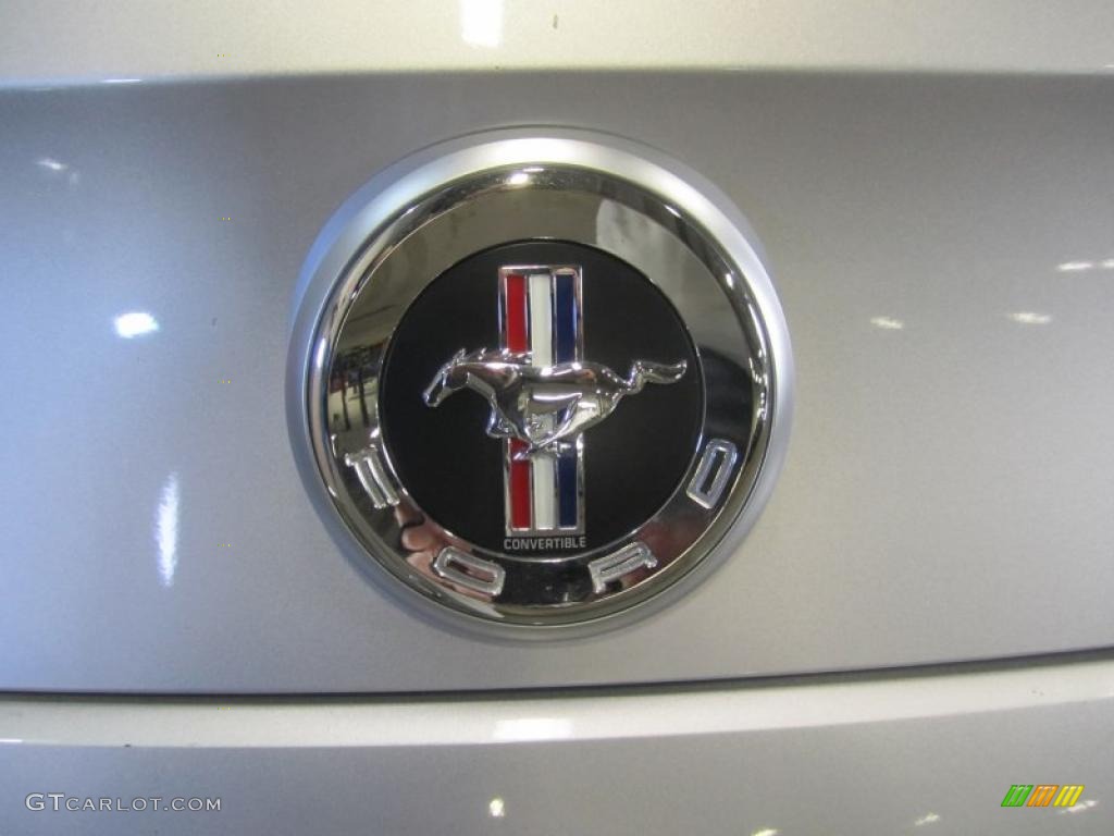 2011 Mustang V6 Premium Convertible - Ingot Silver Metallic / Stone photo #14