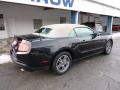 Ebony Black - Mustang V6 Premium Convertible Photo No. 10