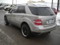 Pewter Metallic - ML 500 4Matic Photo No. 4