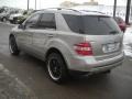 2006 Pewter Metallic Mercedes-Benz ML 500 4Matic  photo #4