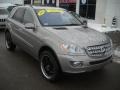 Pewter Metallic - ML 500 4Matic Photo No. 20
