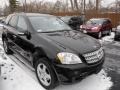 Black - ML 350 4Matic Photo No. 1