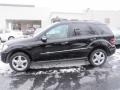 Black - ML 350 4Matic Photo No. 2