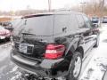 Black - ML 350 4Matic Photo No. 5