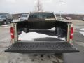 Pueblo Gold Metallic - F150 Lariat SuperCrew 4x4 Photo No. 10