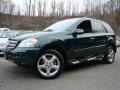 2008 Jade Green Metallic Mercedes-Benz ML 350 4Matic  photo #1