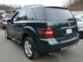 2008 Jade Green Metallic Mercedes-Benz ML 350 4Matic  photo #4