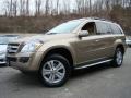 2008 Sand Beige Metallic Mercedes-Benz GL 450 4Matic  photo #1