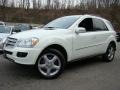 Arctic White - ML 350 4Matic Photo No. 1