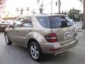 2009 Sand Beige Metallic Mercedes-Benz ML 350 4Matic  photo #7