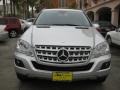 Iridium Silver Metallic - ML 350 Photo No. 9