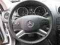 Iridium Silver Metallic - ML 350 Photo No. 20