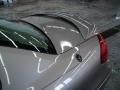 Arizona Beige Metallic - Taurus SES Photo No. 4