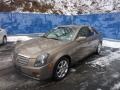 Radiant Bronze - CTS Sedan Photo No. 1