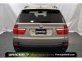 Platinum Bronze Metallic - X5 4.8i Photo No. 3