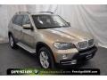 2007 Platinum Bronze Metallic BMW X5 4.8i  photo #7